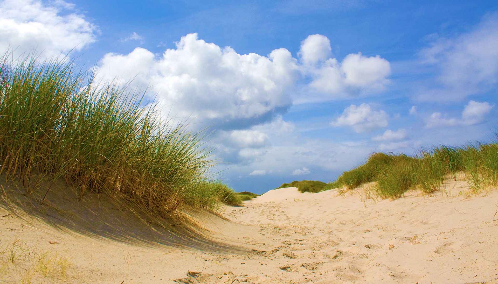 Park Duinland In Sint Maartenszee